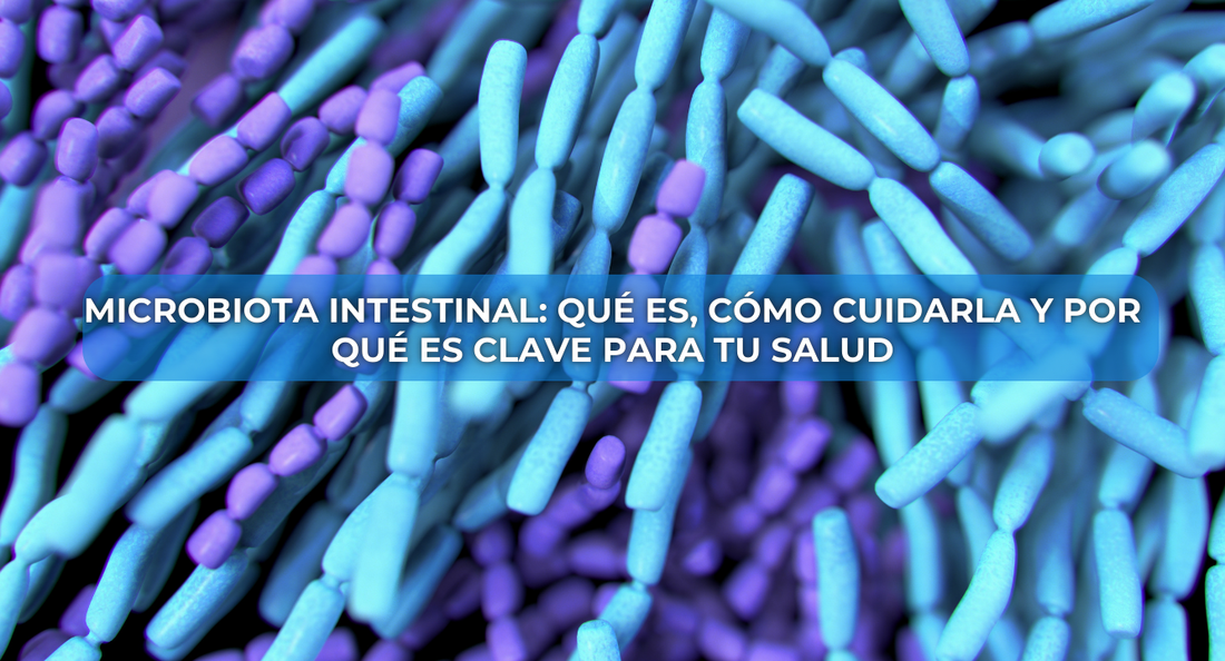 Microbiota intestinal: Qué es, cómo cuidarla y por qué es clave para tu salud